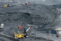 Chọn 2 - 3 tập đoàn để tái cơ cấu điểm